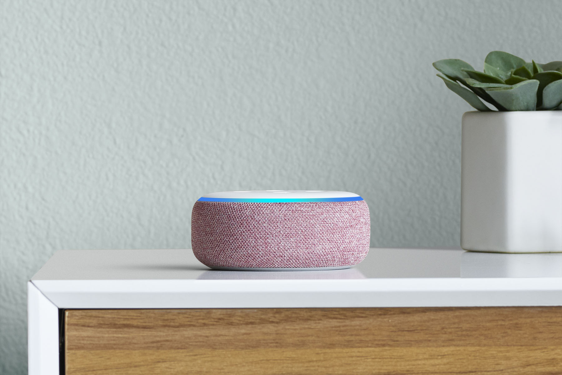 Image of a plum Amazon Echo Dot sitting on a dresser, next to a succulent plant in a white pot