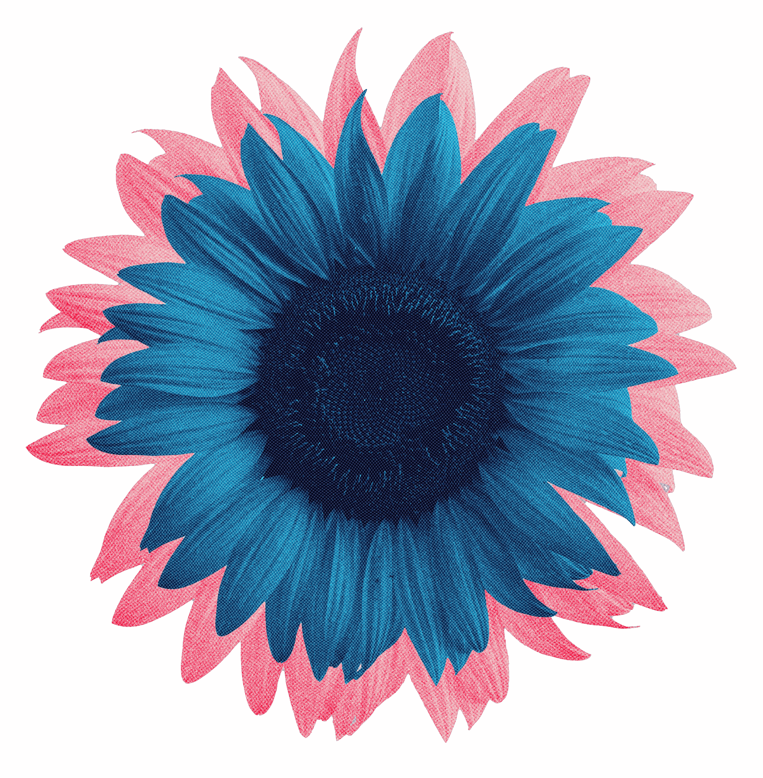 YSP Overview flowers