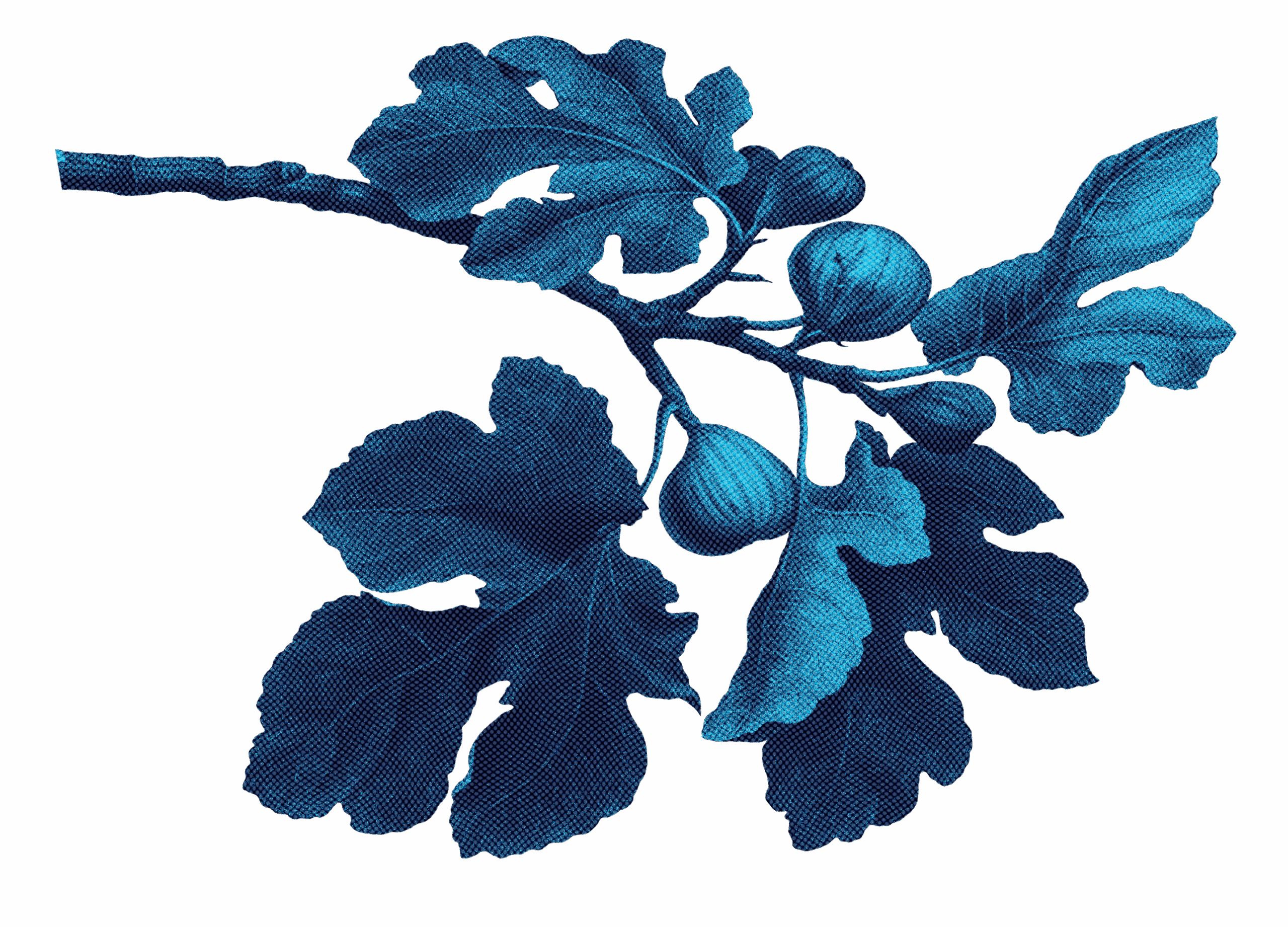 Risograph 1_blue leaf