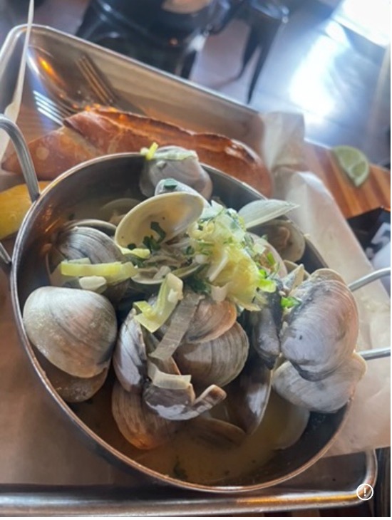 Closeup of clams artfully displayed in a dish