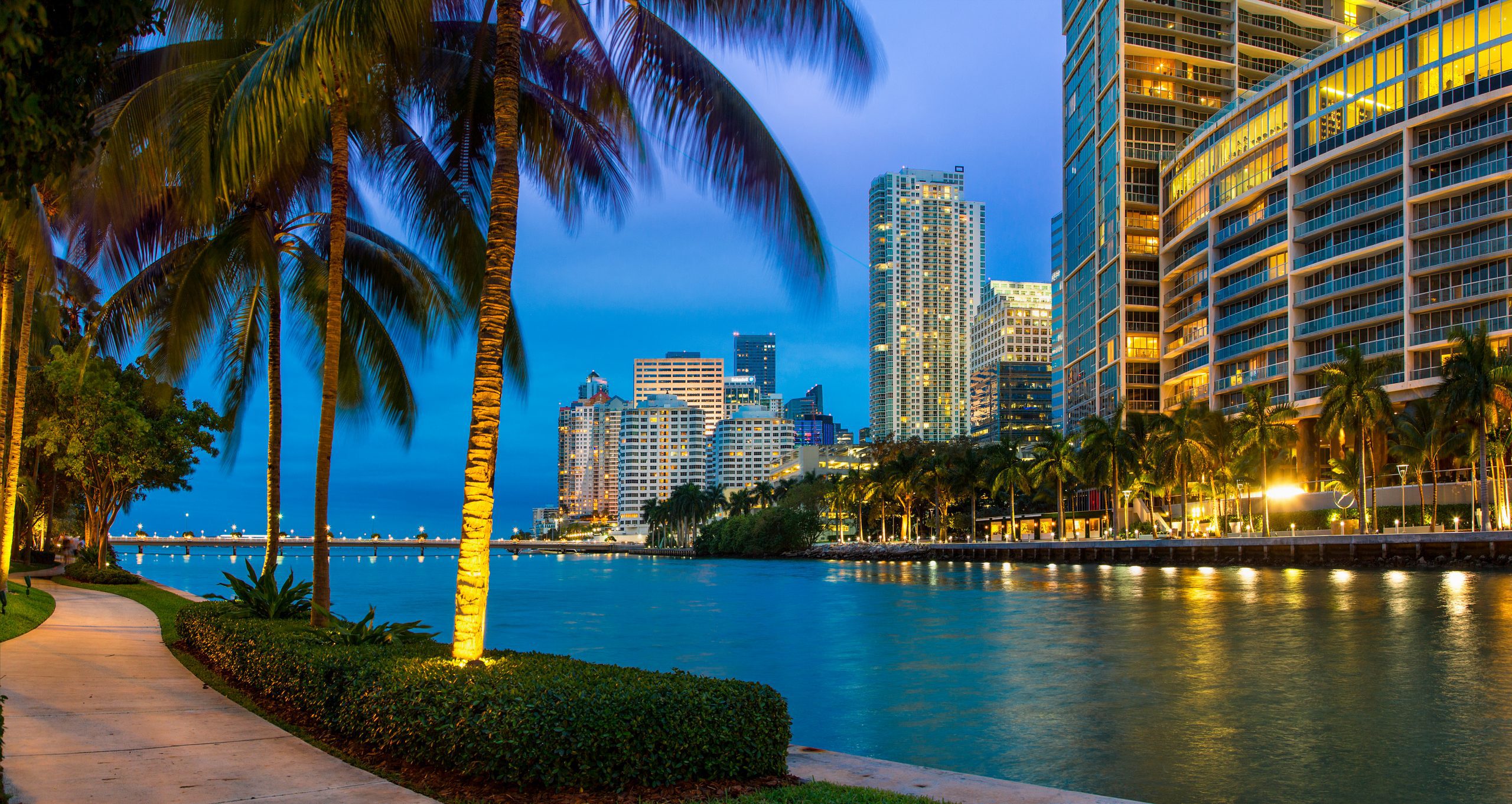 Miami, Downtown District at Dusk Image of a hand covered in a glove holding a syringe