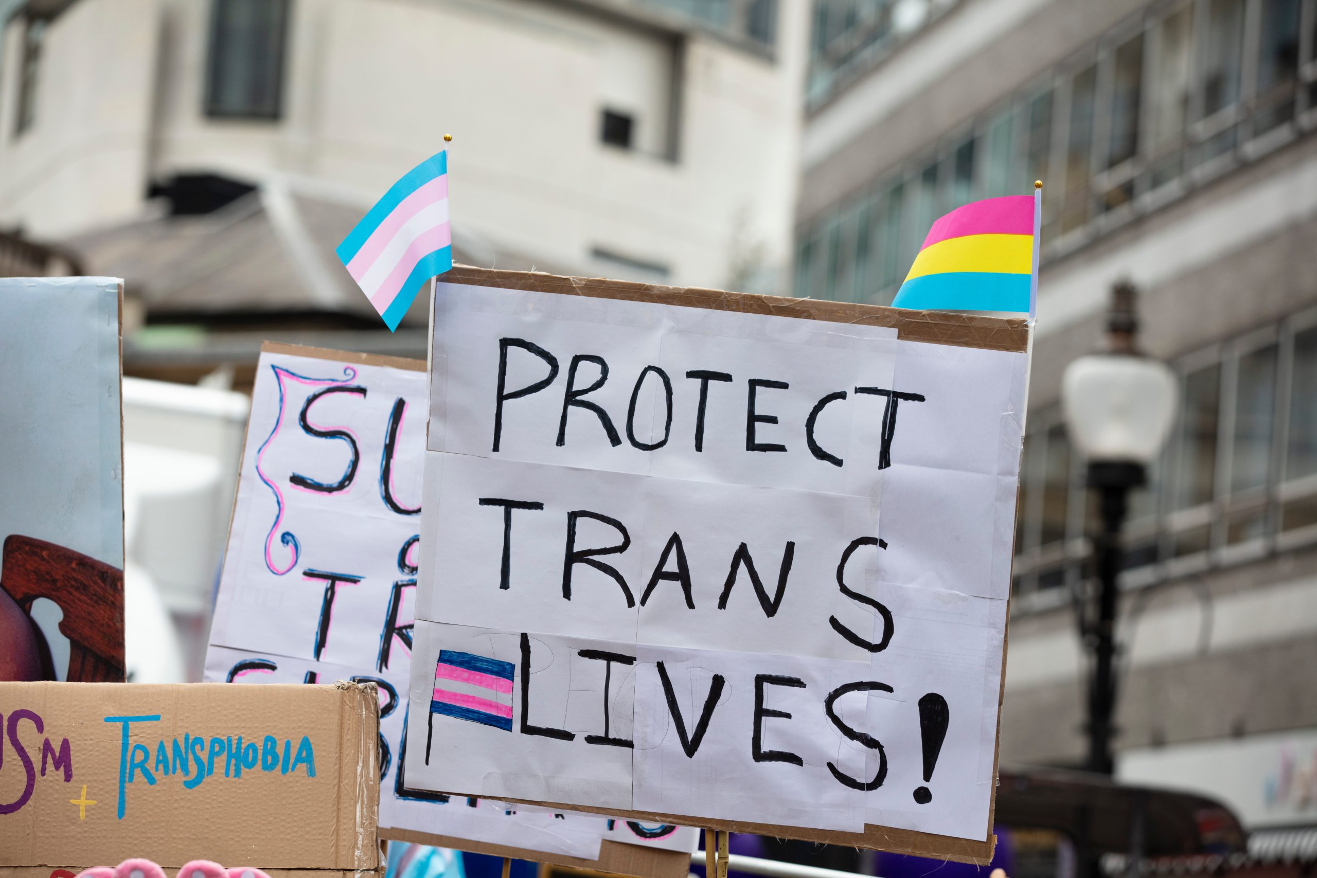 A person holding a sign reading protect trans lives banner Image of computer screen, logged into WordPress, with backend screen to create a new post.