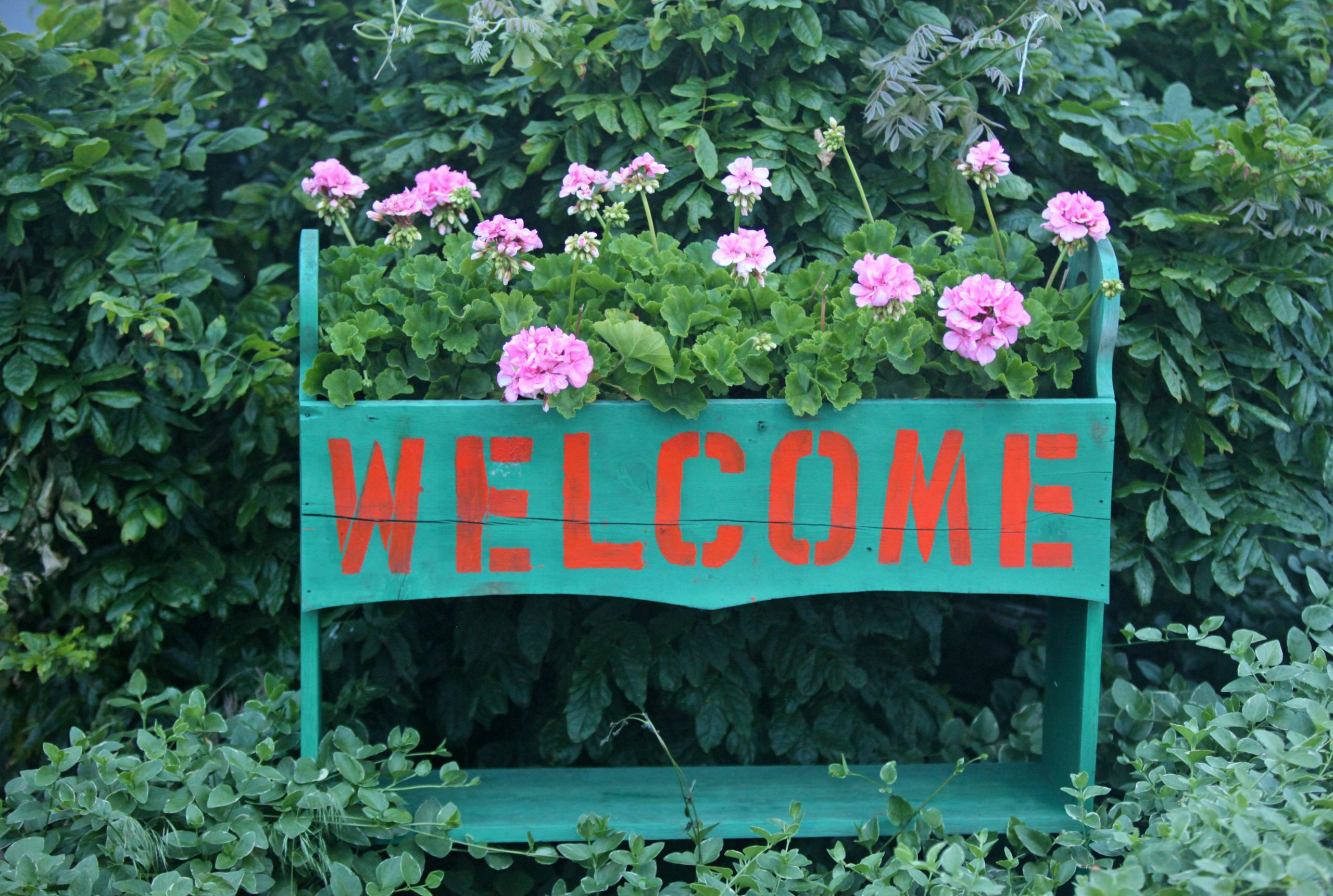 wooden welcome sign in cursive on a fake shrub background