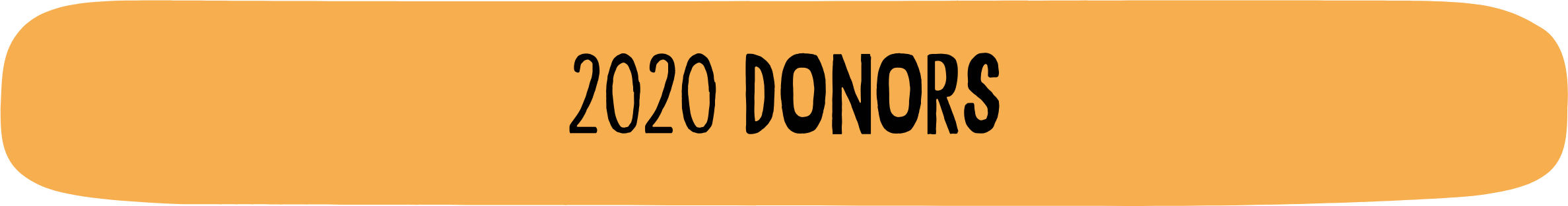 Annual Report - 2020 Donor Image