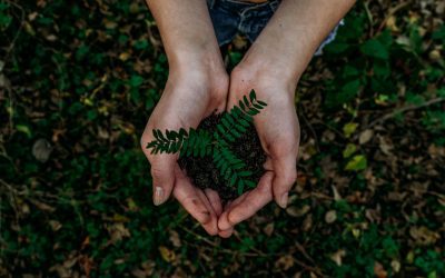 This Earth Day, Consider a Green Sex Ed